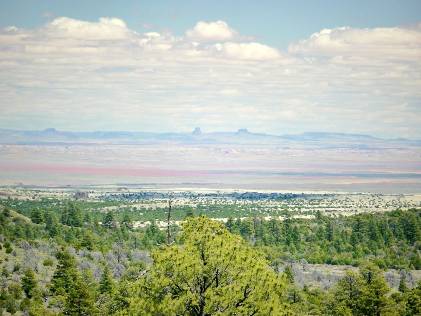American Travel Journal Painted Desert Vista Coconino National Forest