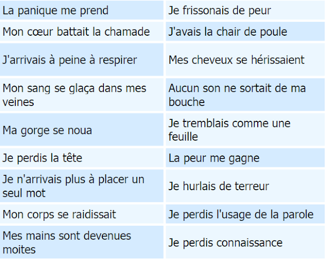 vocabulaire pour exprimer la peur