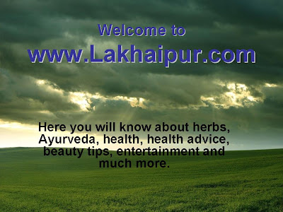 Welcome to Lakhaipur