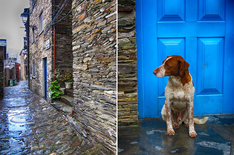 Rua e cão em Piodão, uma das mais bonitas aldeias históricas