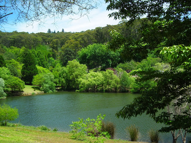 Mt. Lofty Botanical Gardens