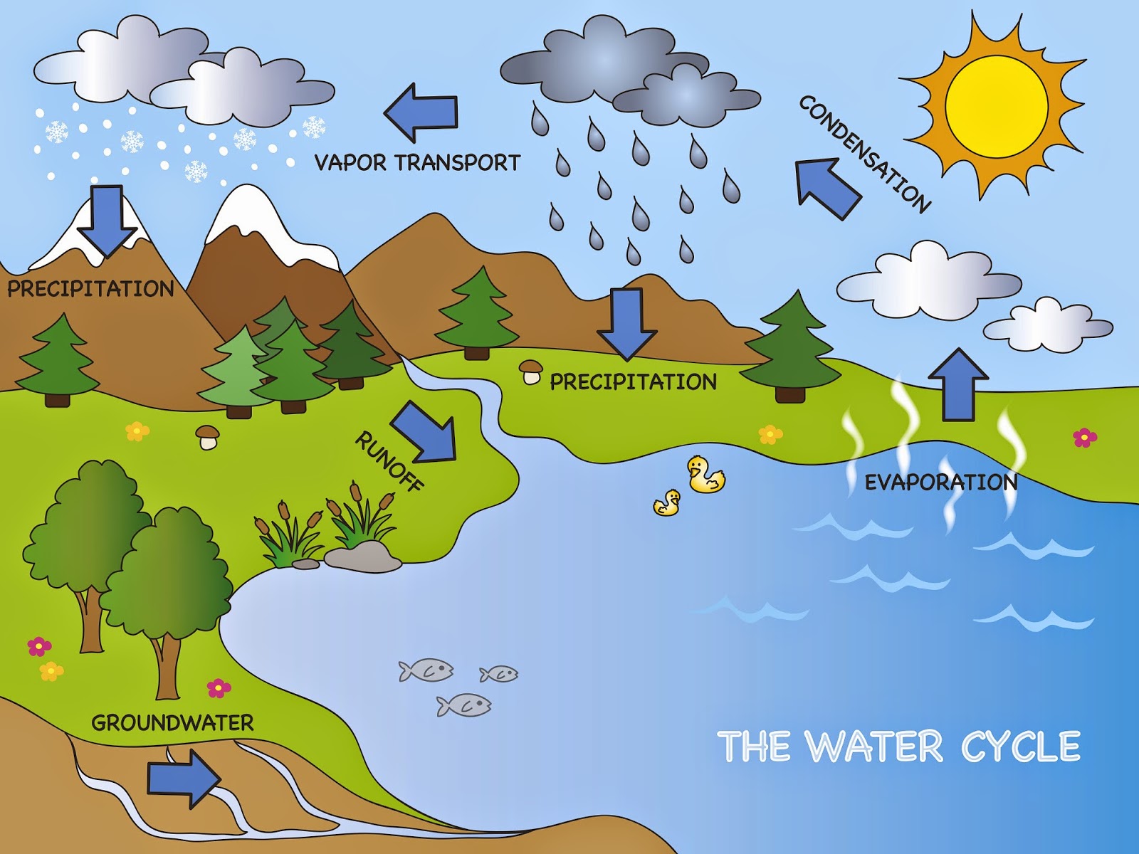 Earths Water Supply Lesson Plans For Elementary Kids Creative Chaos