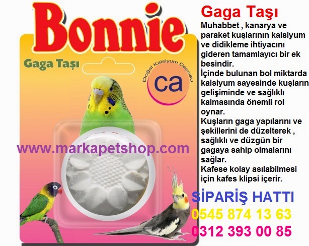 Gaga Tasi Faydalari