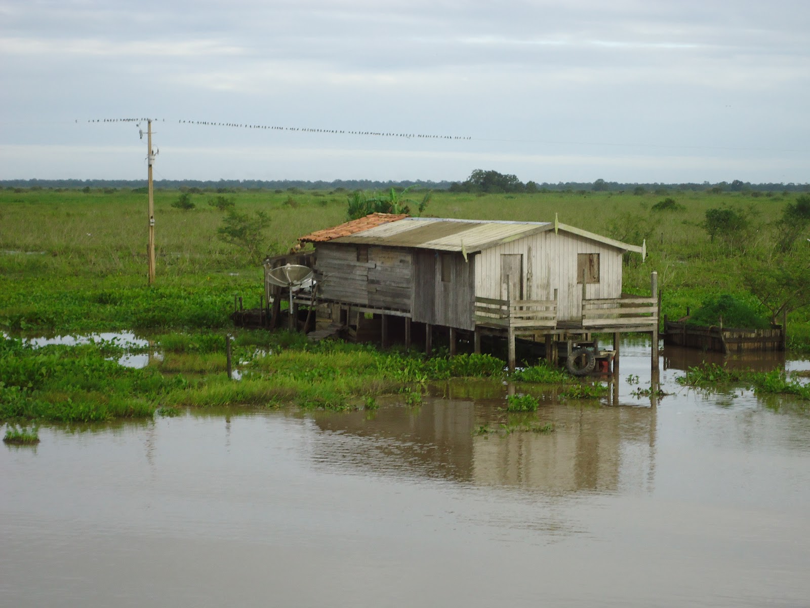 na veneza do marajó santa cruz do arari