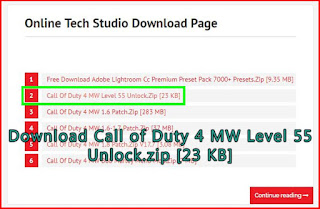 Download COD 4 MW level 55 save profile Download COD 4 MW level 55 save profile