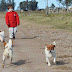 Video Aguer Hunter - Salida al campo - Jacks Russell Terrier