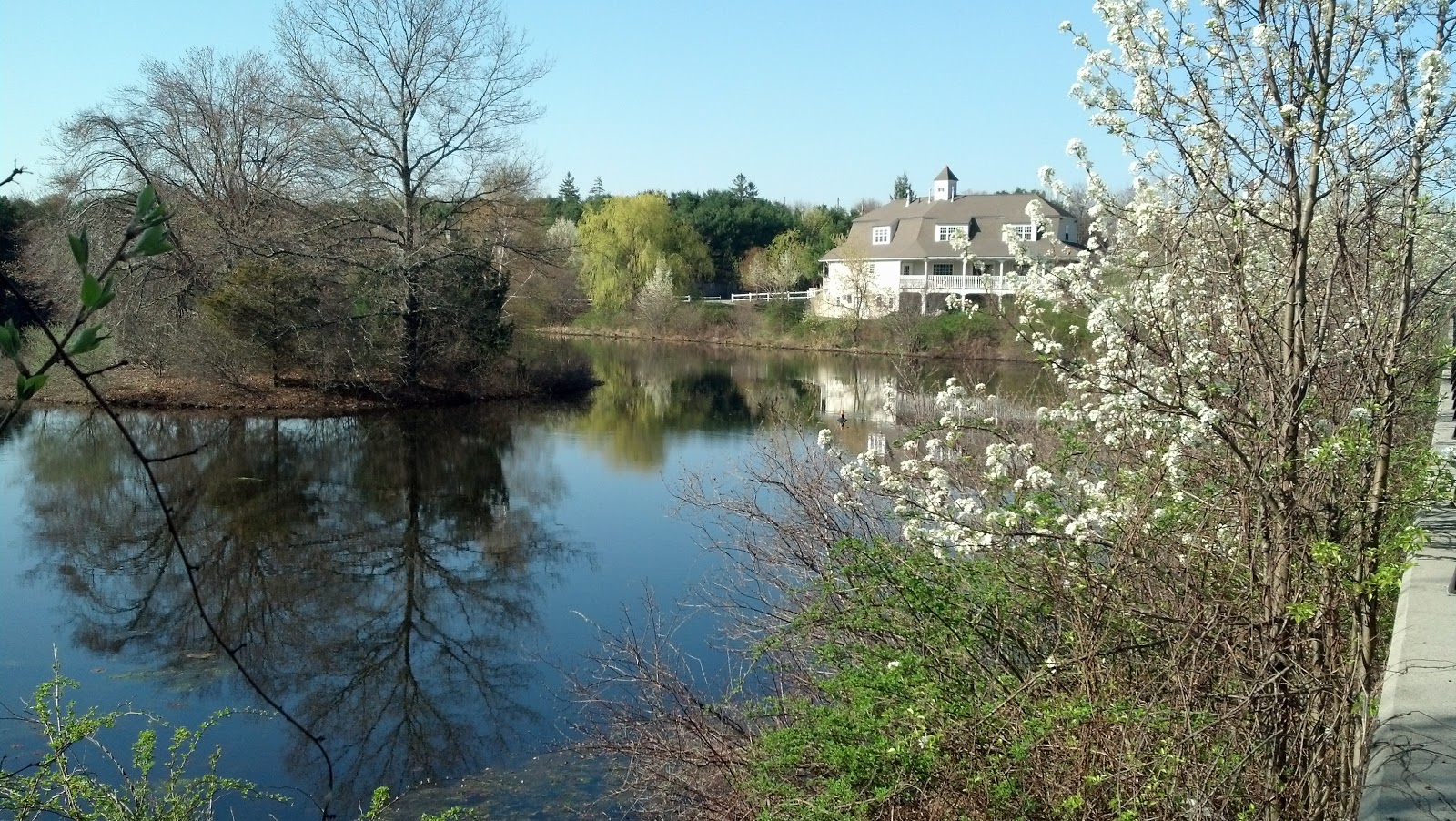 Franklin Matters Franklin in spring color (part 2)