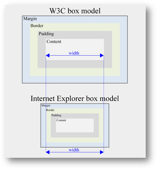 CSS Box Model BUITEMS LEARNING POINT