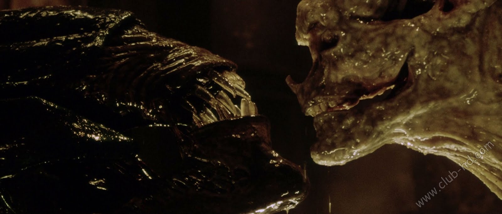 Alien_Resurrection_CAPTURA-8.jpg