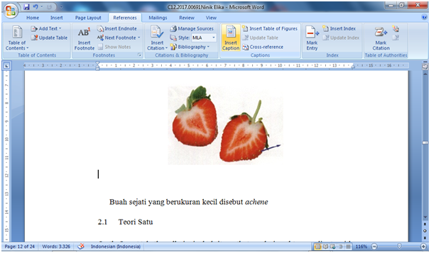 Cara membuat Daftar Gambar di Ms.word