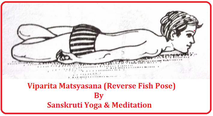 Sanskruti Yoga Meditation Viparita Matsyasana Reverse Fish Pose