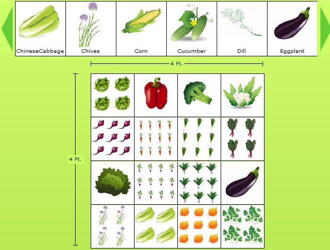  vegetable garden design software free