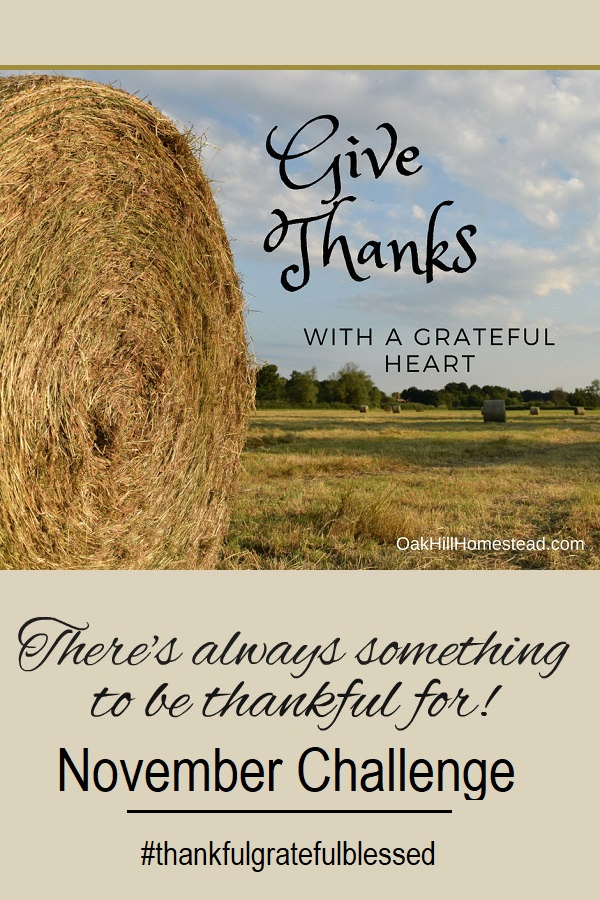 The Key to a Happier Life is Thankfulness November Thankfulness