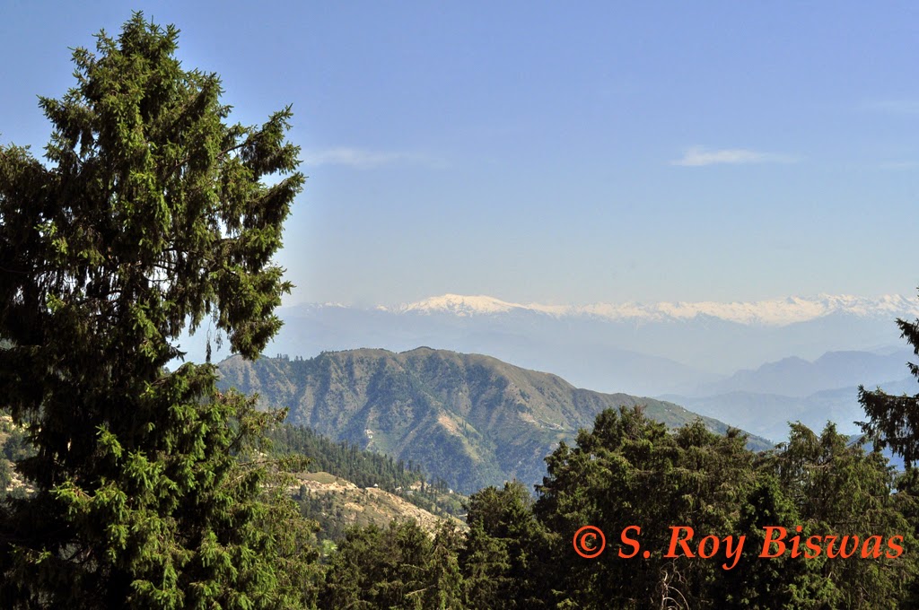 S Roy Biswas Enchanting Himachal Visiting Chowari Jot