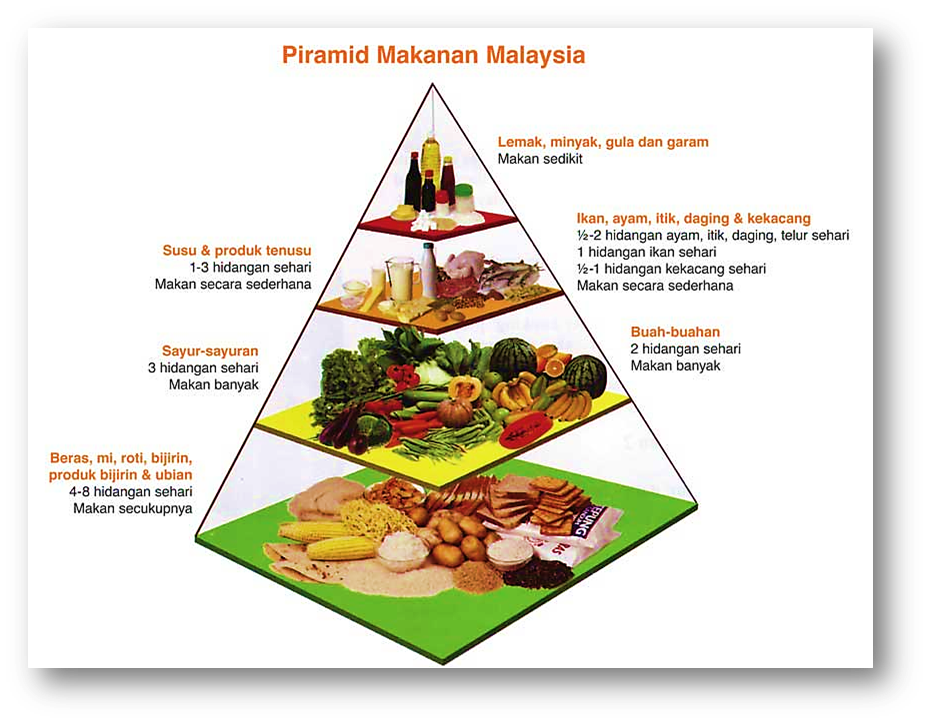 Gambar Piramid Makanan Kartun - Brazil Network