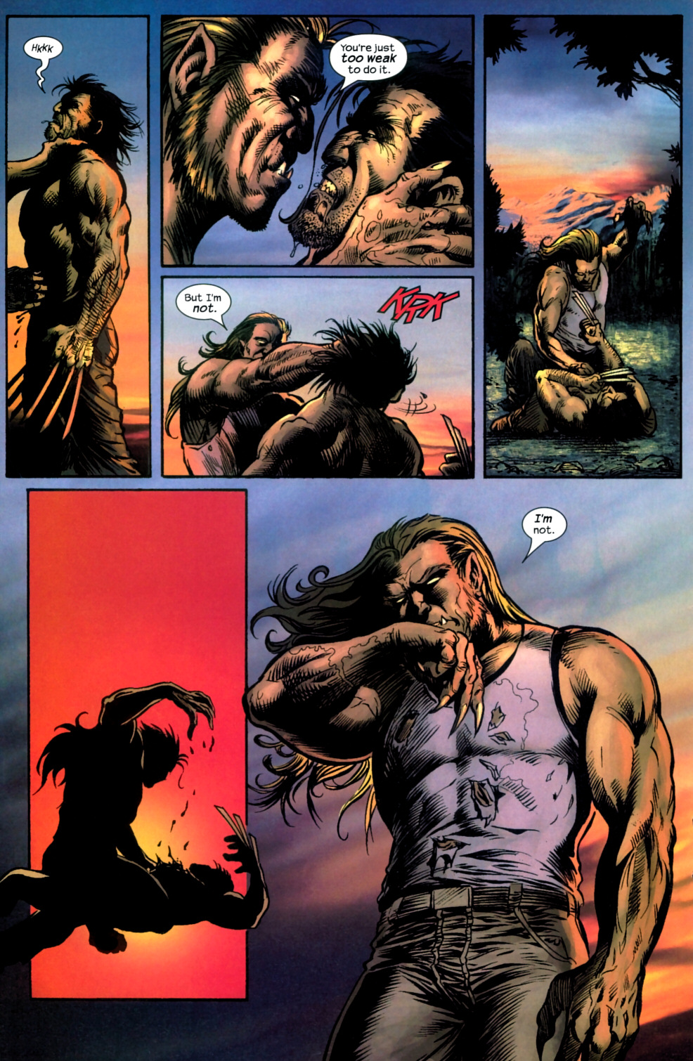 Wolverine (2003) issue 19 - Page 13