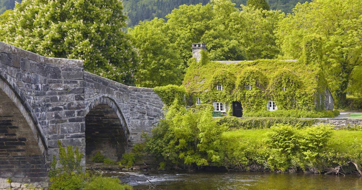 Green House Wallpaper