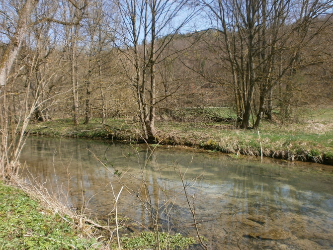 Die Schwäbische Alb und ihre Natur: Qualitätsweg Lauterfelsensteig