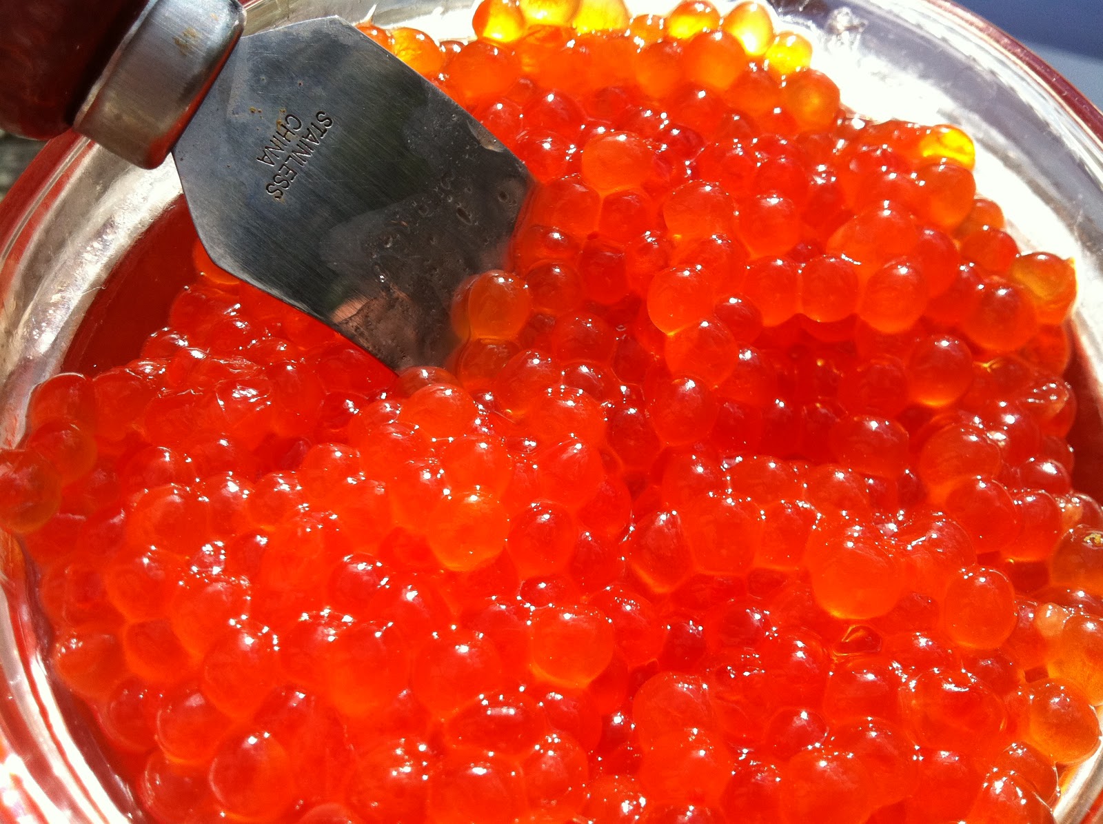 Knit Nat: Little Orange Jewels