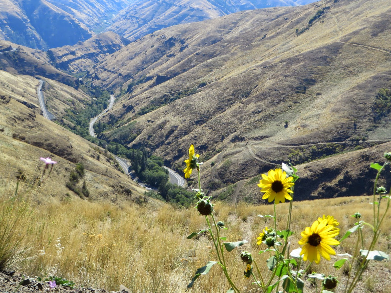 DESTINATIONS NORTHWEST Rattlesnake Grade A Road to Remember