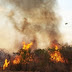 Grande incêndio interdita as duas vias da BR-242 em Barreiras provocando congestionamento quilométrico
