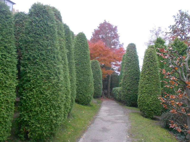 rheinland-blogger: japanischer Garten
