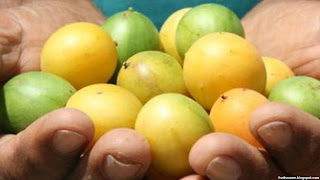 umbu fruit images wallpaper