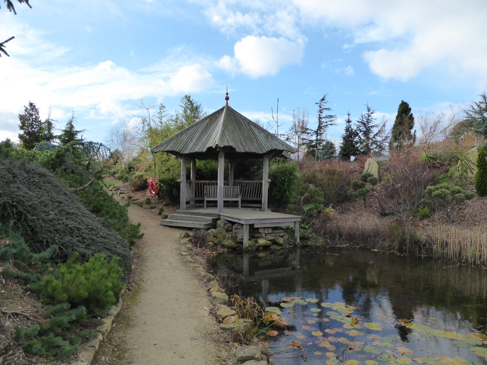 Galanthus Walkers Garden Centre, Doncaster, 16th November 2015