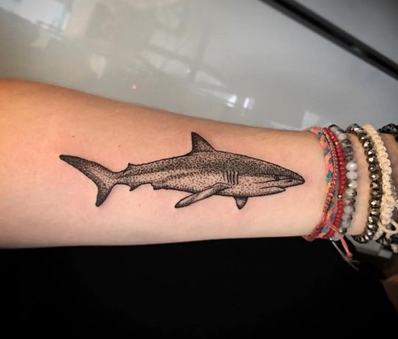 Shark Tattoo Ideas