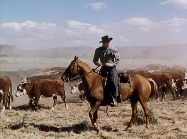 Calamity Jane and Sam Bass (George sherman, 1949) Western