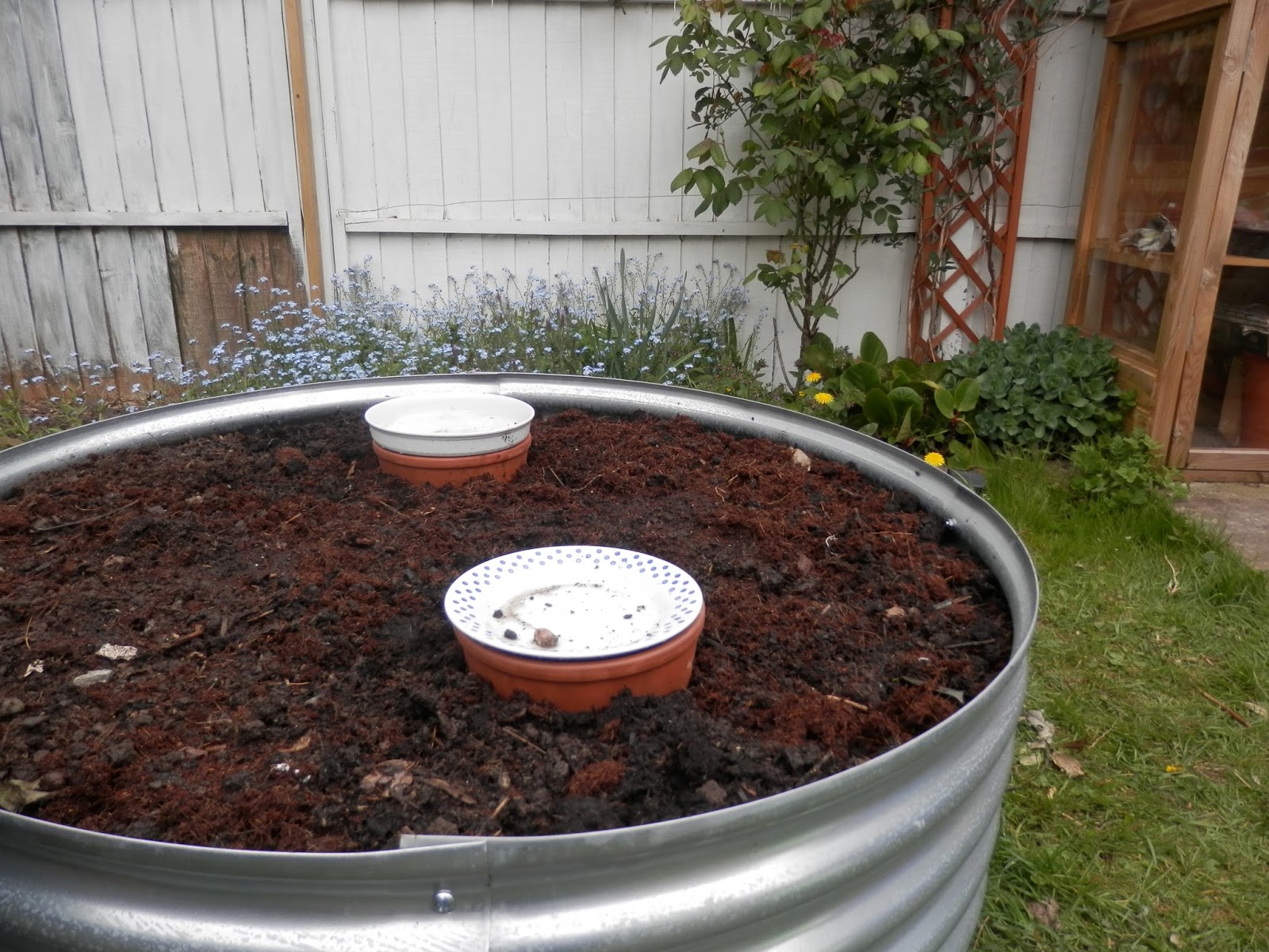 Second Hand Susie 3 ways to water your garden without the hose pipe