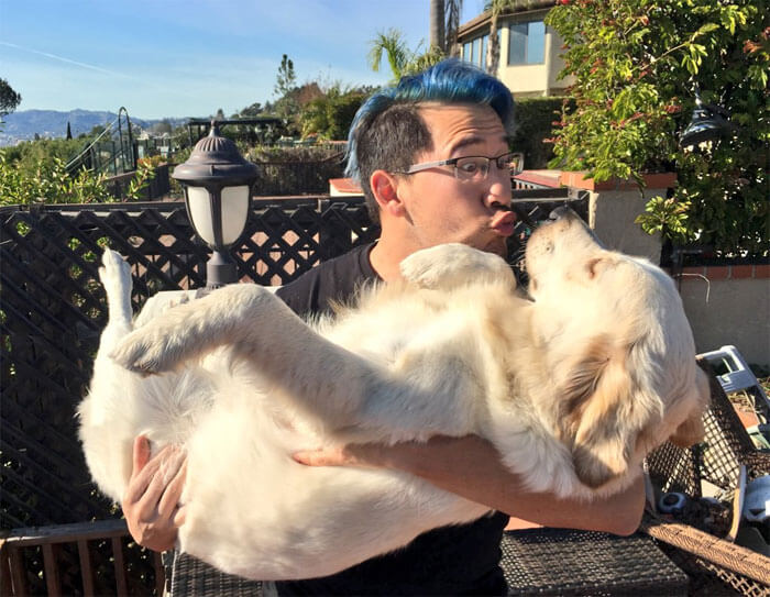 Humans Kiss Their Dogs More Often Than Their Partners According To Survey