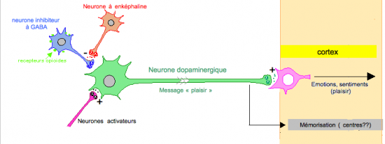 Sportivement scientifique !: Que du bonheur