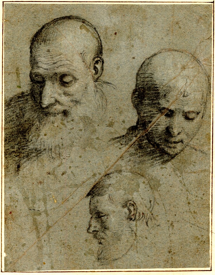 Spencer Alley: Cavendish Album, British Museum - 16th-century Drawings