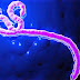 6 Pertanyaan Tentang Virus Ebola yang Penting Diketahui