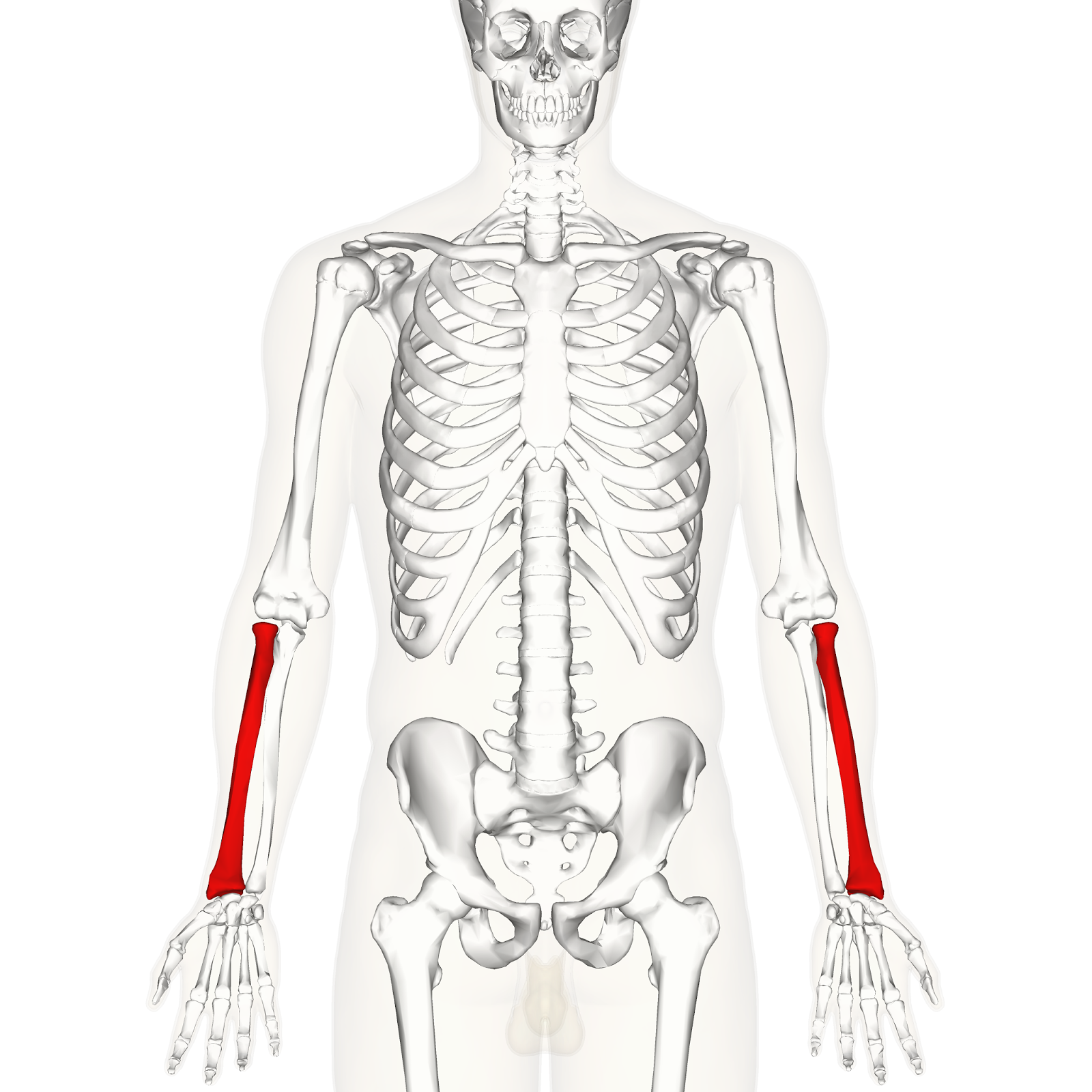 Science First ( علاج طبيعي )