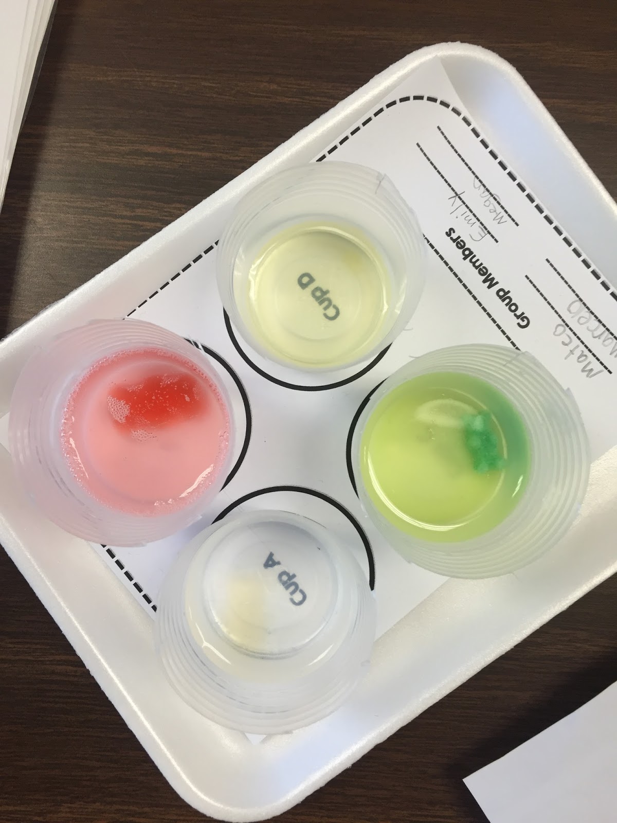 Fabulous in Fifth! Gummy Bear Lab