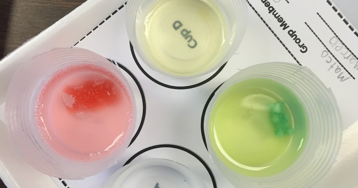 Fabulous in Fifth! Gummy Bear Lab