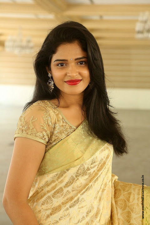 Harshita at Silk India Expo 2017 Launch