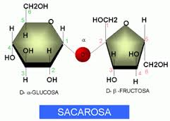 Glucosa y fructosa azucares reductores