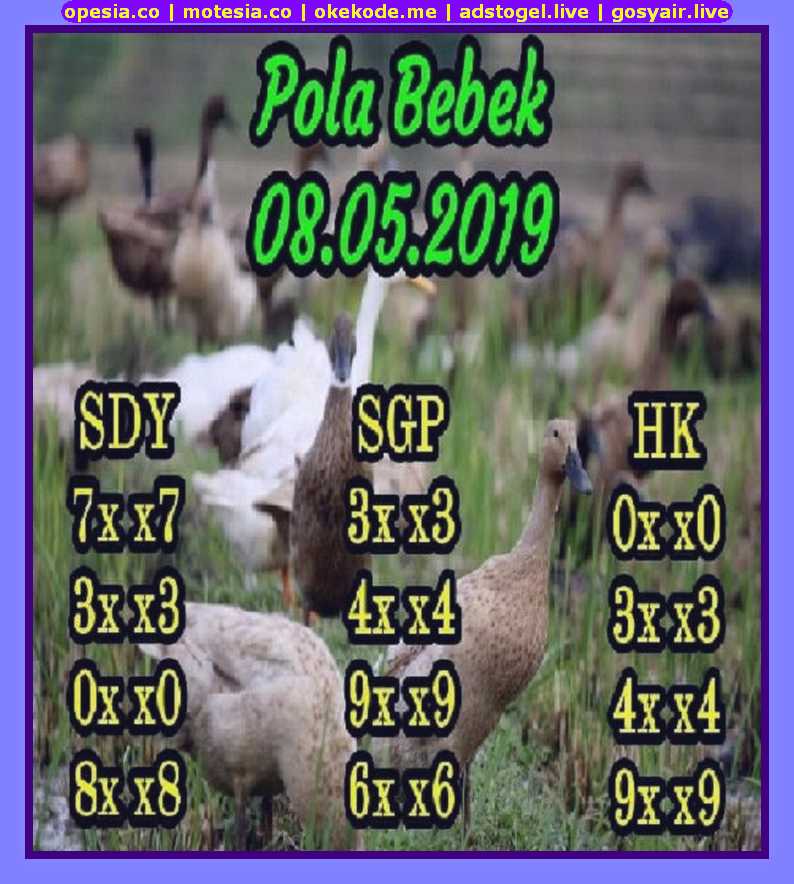Kode Syair Hk Rabu 8 Mei 2019 - Gosyair Sedia Kode Syair Sgp Ada Kode Syair  Hk
