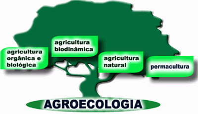 agroecologia -agricultura orgânica