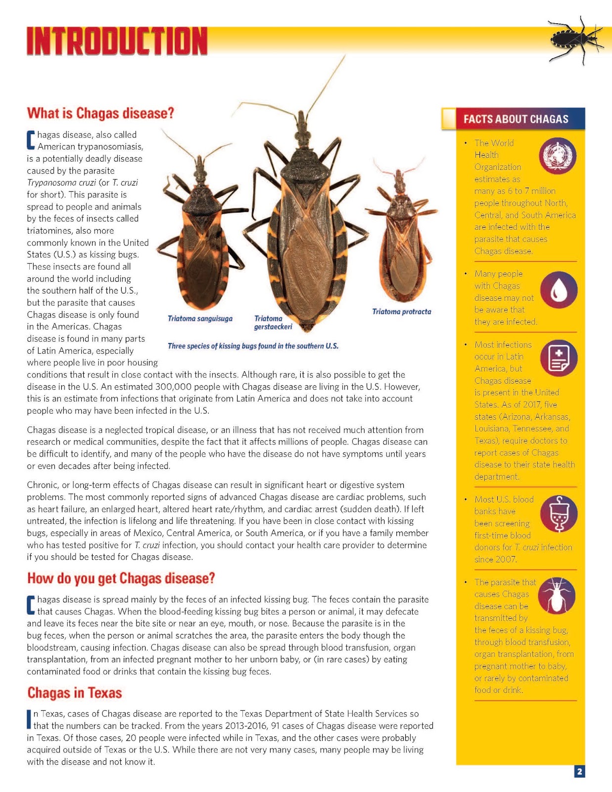 Bexar County Medical Society Kissing Bugs & Chagas Disease What You