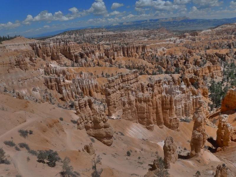 13: Bryce Canyon - Driving me ... USA (24)