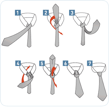 The Male Brain at Work: How to Tie a Full Windsor Knot