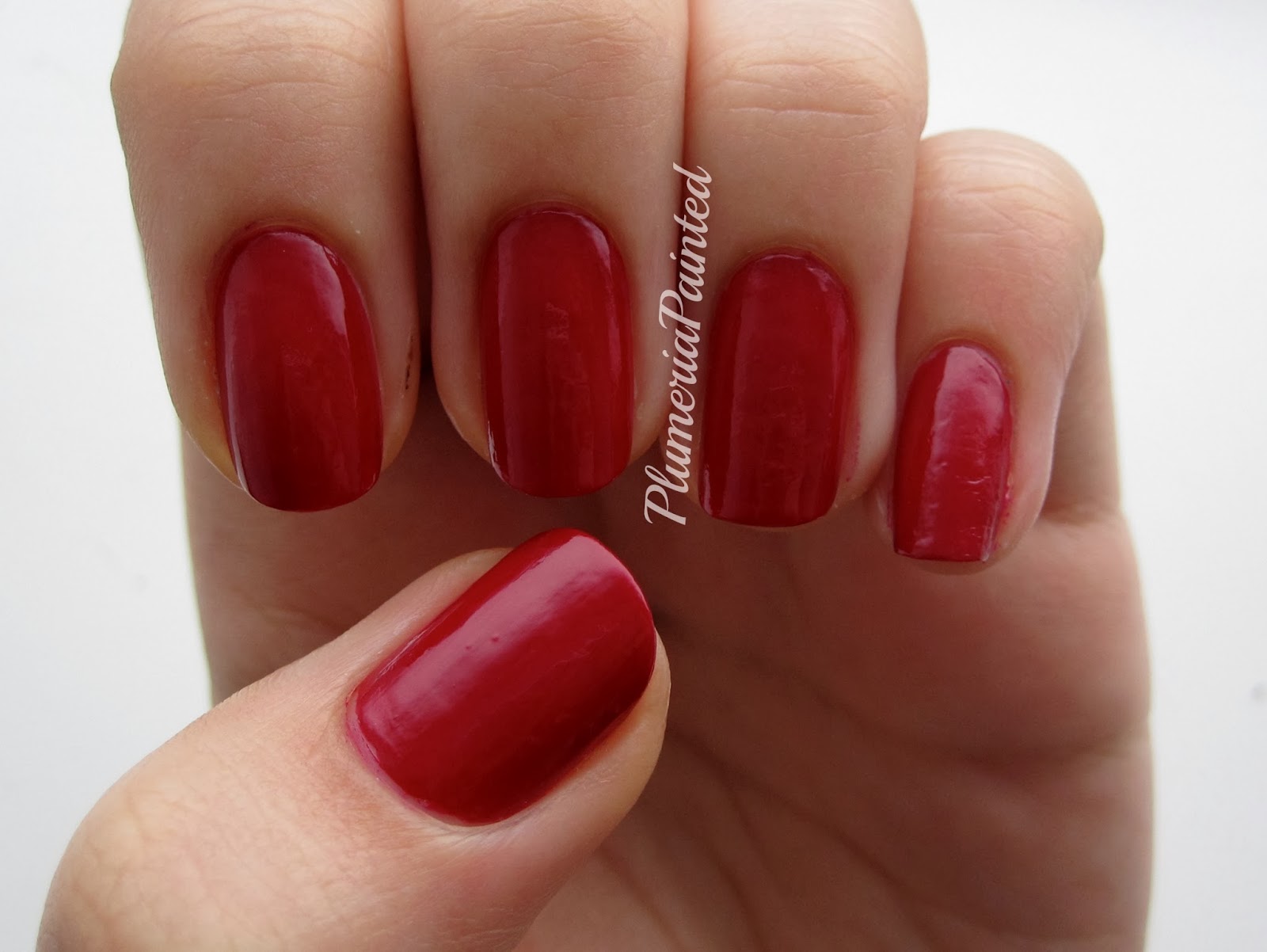 PlumeriaPainted: January 2014