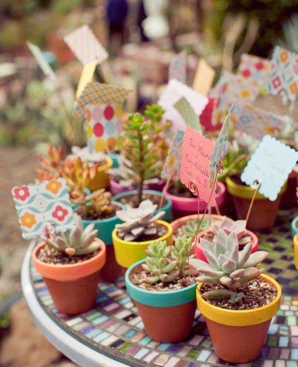 Environnement Liban Mediterranee Afrique La Route De L Oliver Au