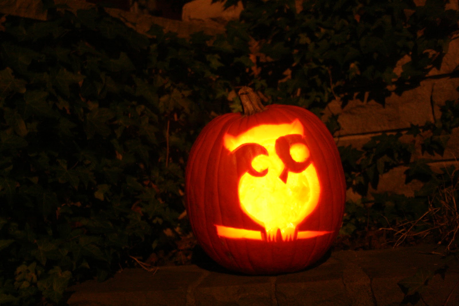 sky-s-slate-owl-pumpkin