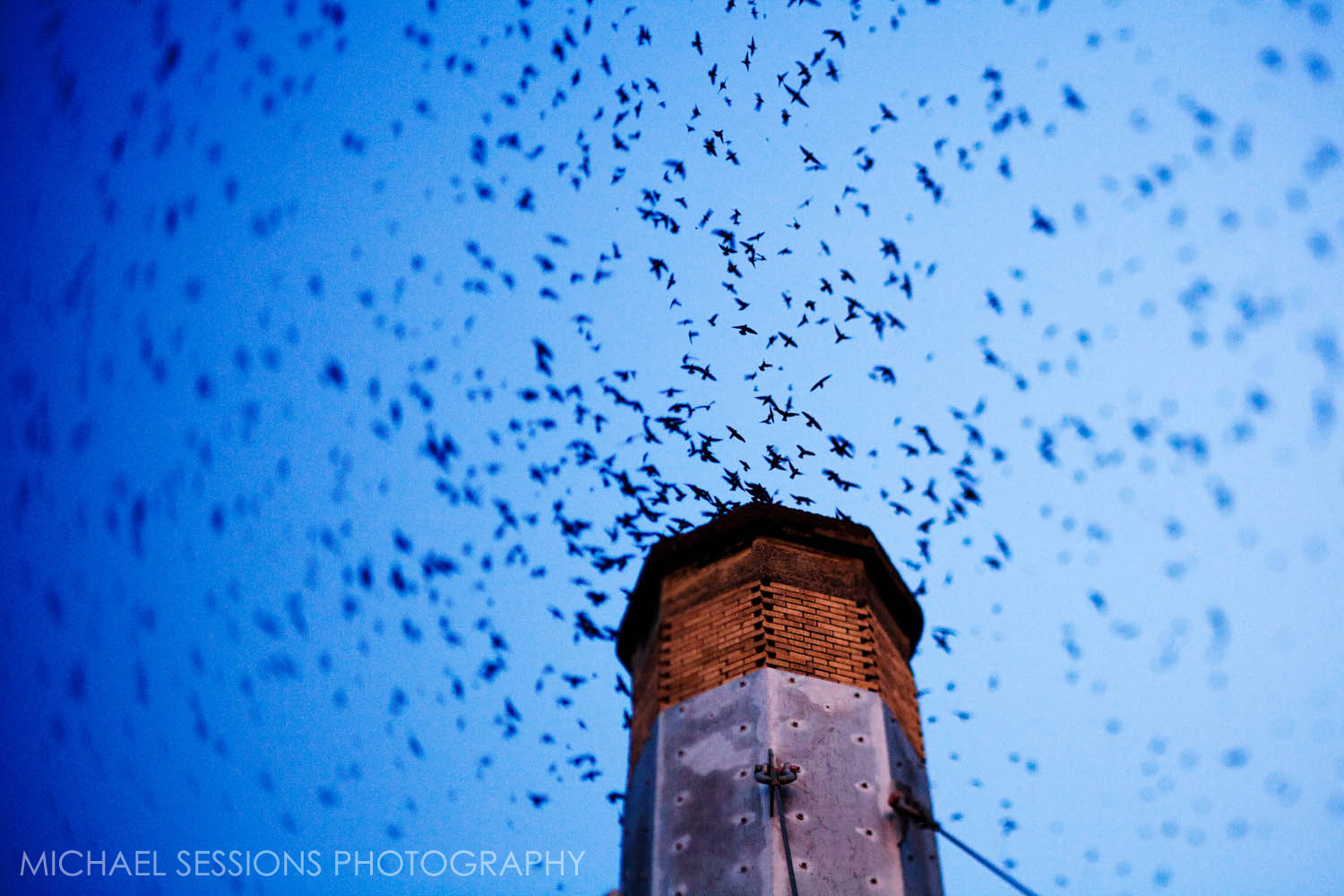 Sam Goldsmith The Swifts