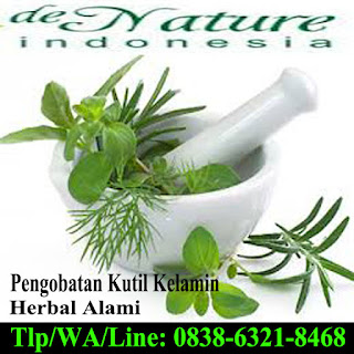 Obat Kutil Kelamin